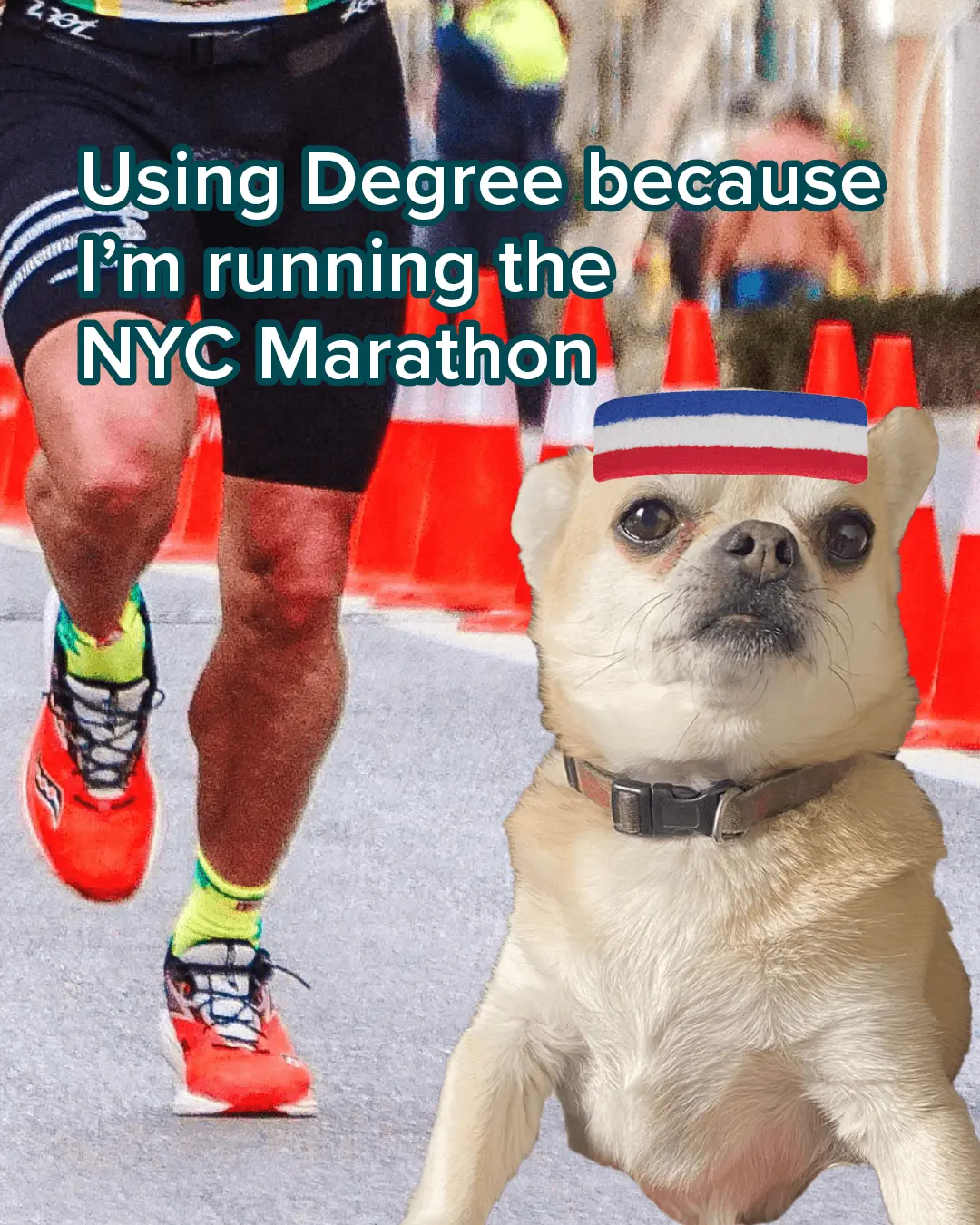 A small dog wearing a running headband is edited in front of a photo of a marathon runner. Text on the image reads, Using Degree because I’m running the NYC Marathon.